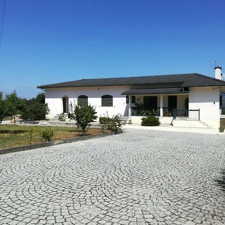 Casa Dos Lacos Viseu Eksteriør billede