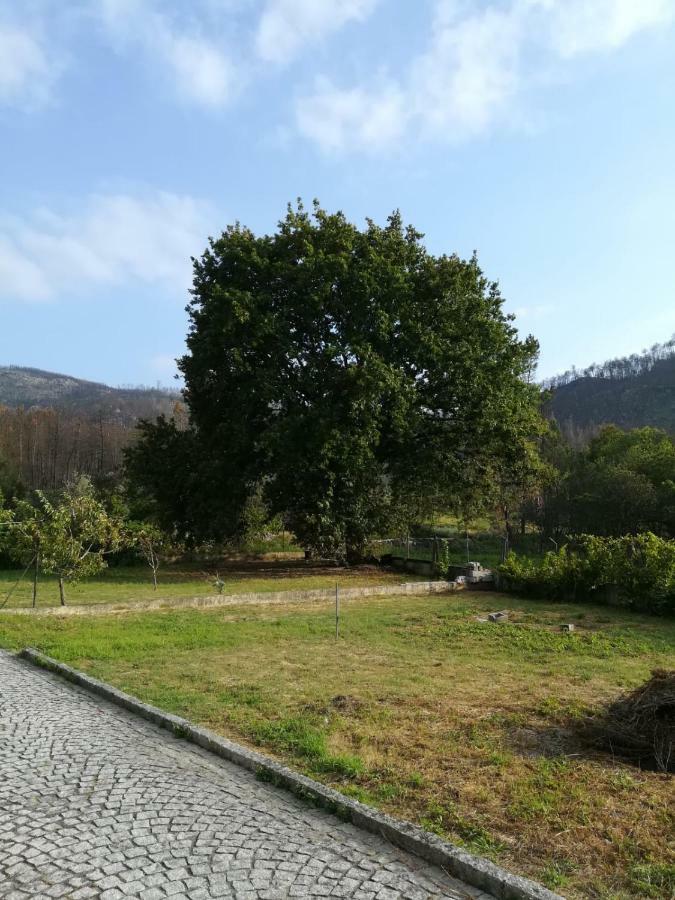Casa Dos Lacos Viseu Eksteriør billede